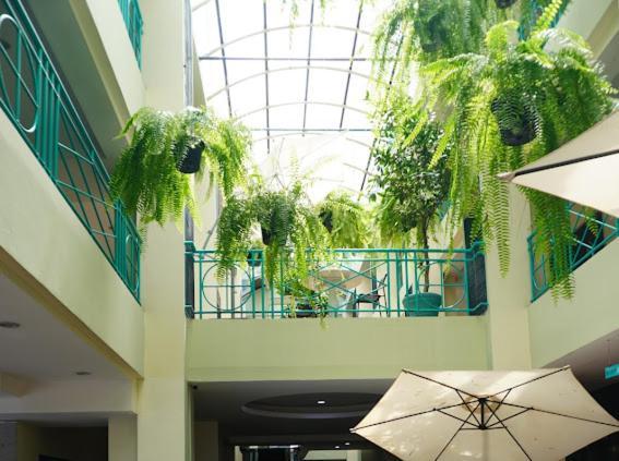 Young Place بانكوك المظهر الخارجي الصورة